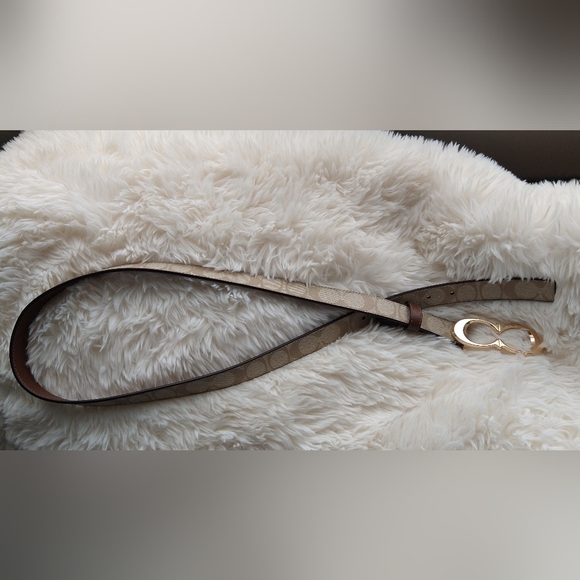 Elegant Gold and Tan Women's Belt - Picture 10 of 11